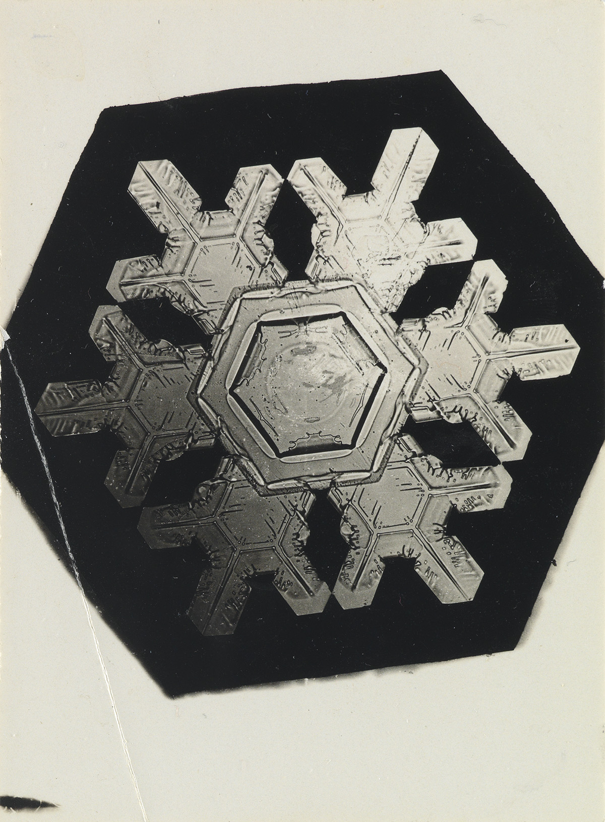 WILSON A. SNOWFLAKE BENTLEY (1865-1931) Group of 3 microphotographs depicting snowflakes.